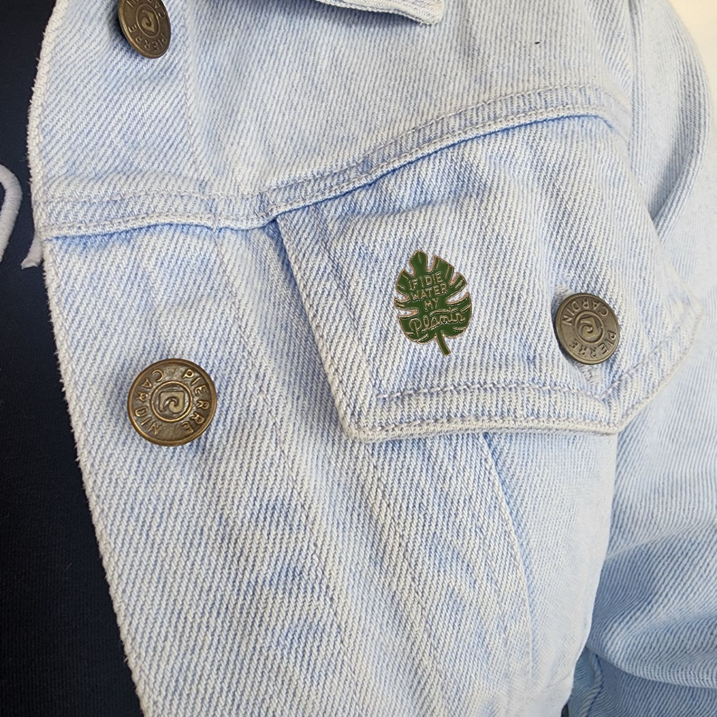 Pin hoja de monstera