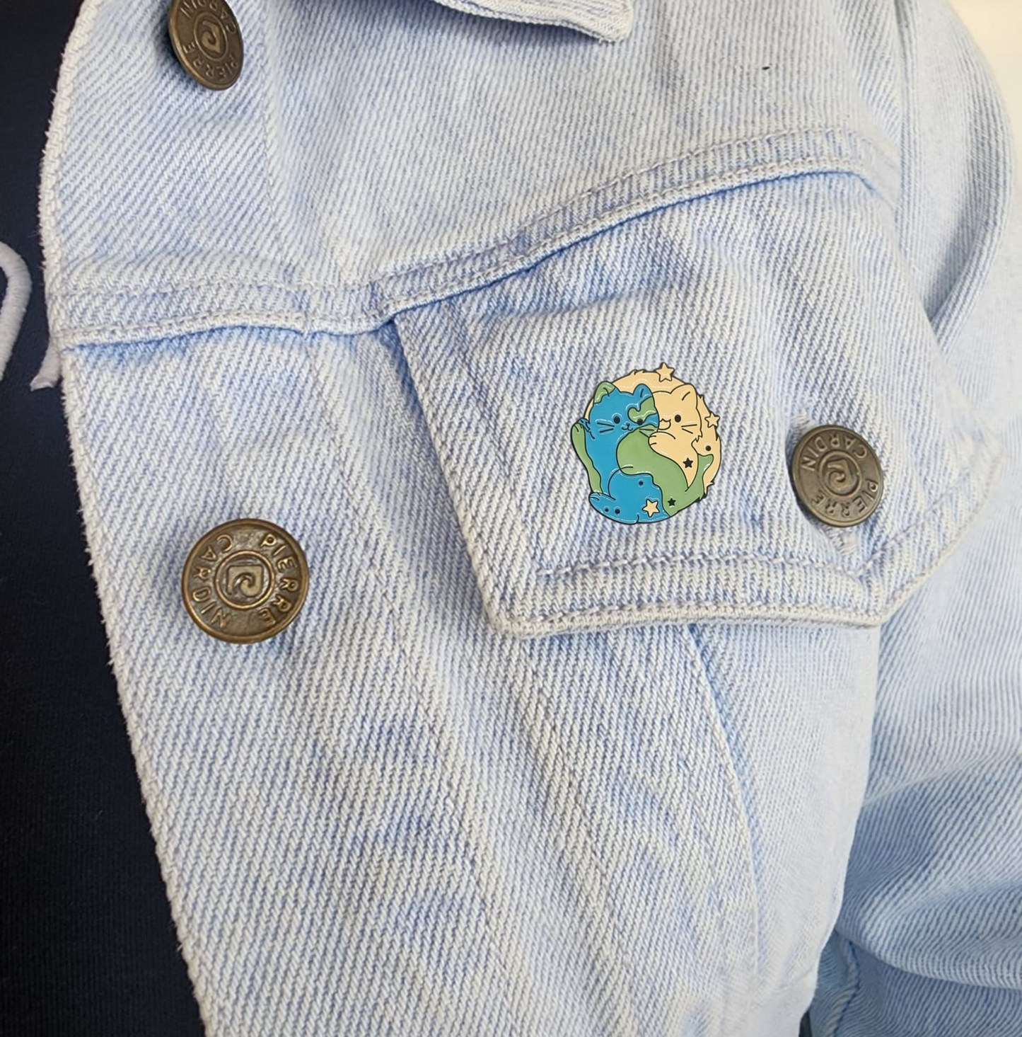 Pin gatos tierra y sol