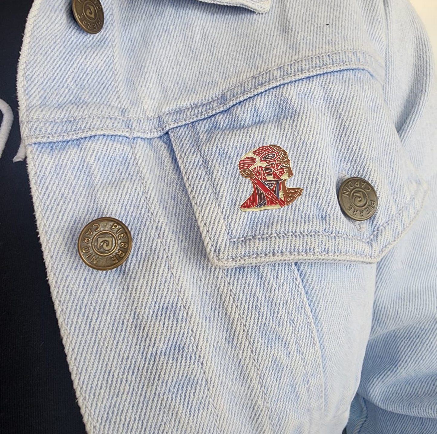 Pin sistema muscular