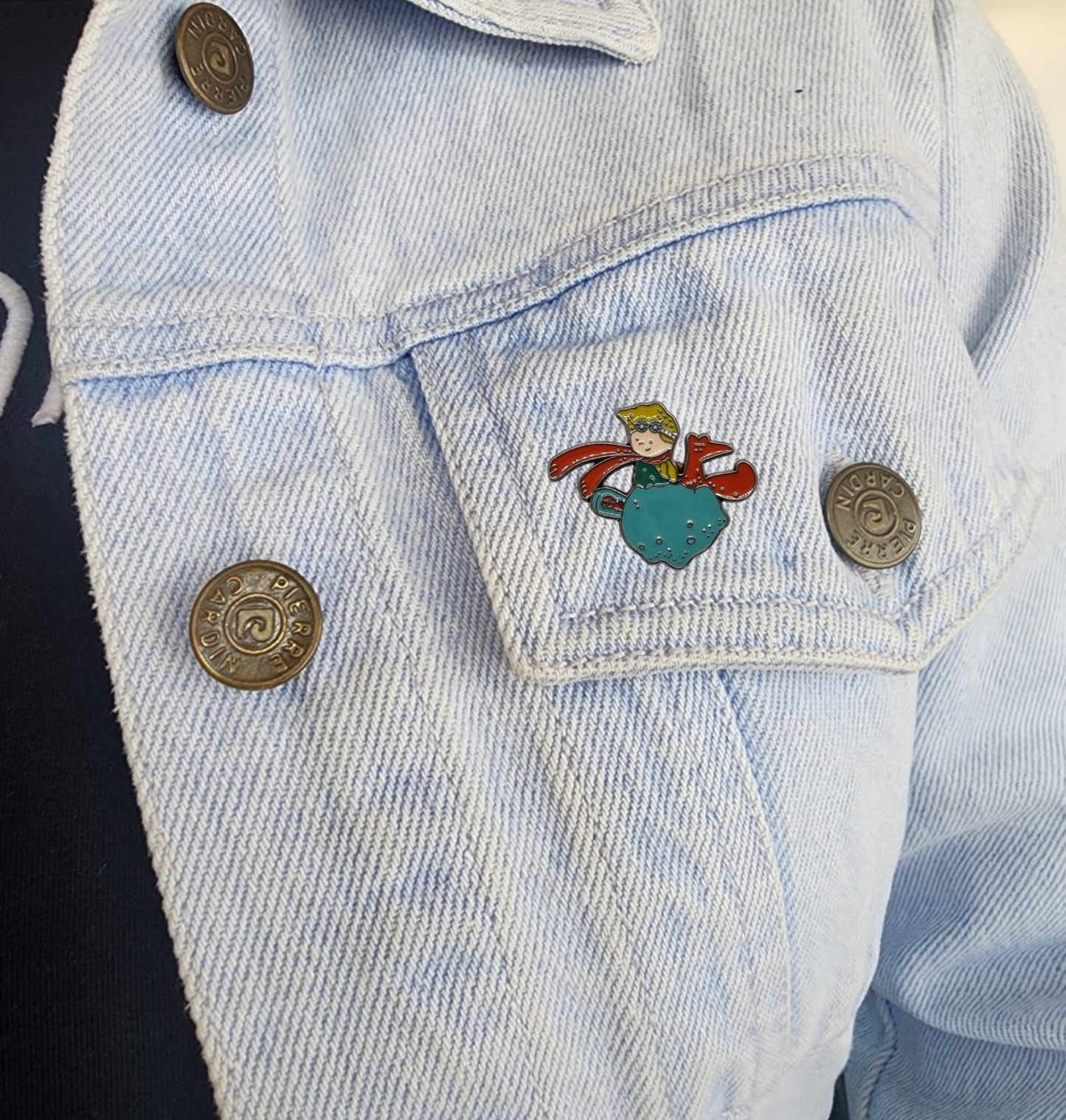 Pin principito en el asteroide