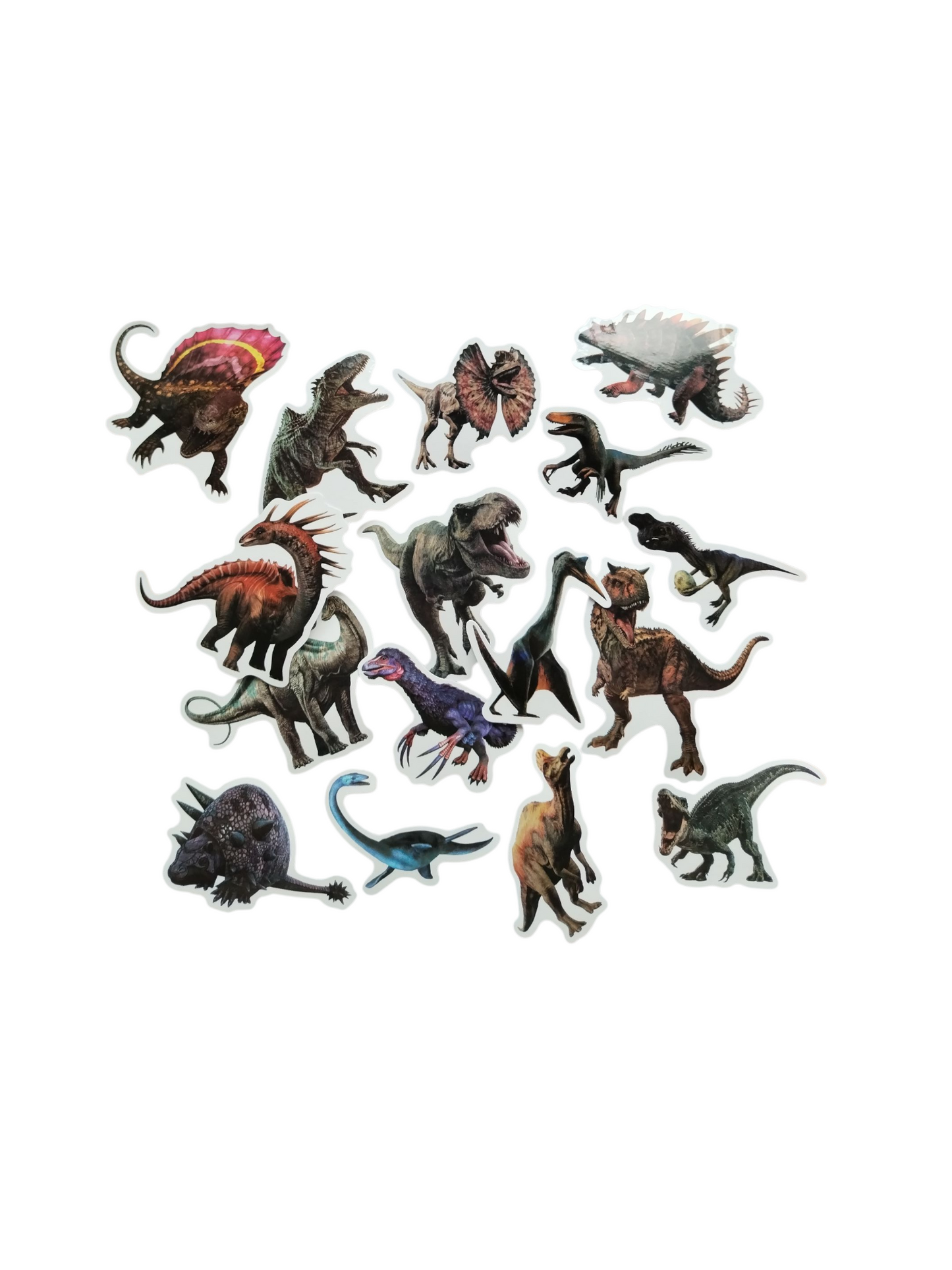 Stickers borde blanco