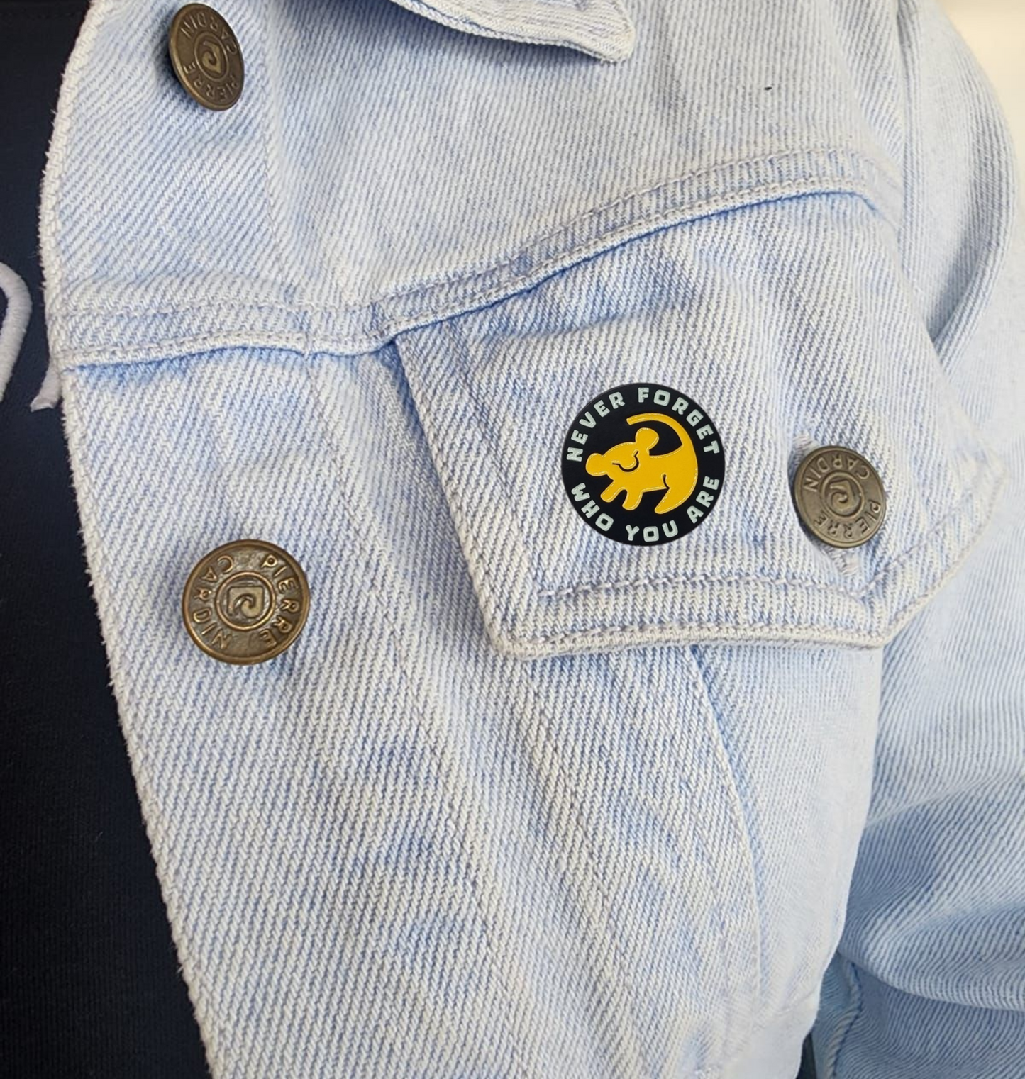 Pin circulo rey leon simba