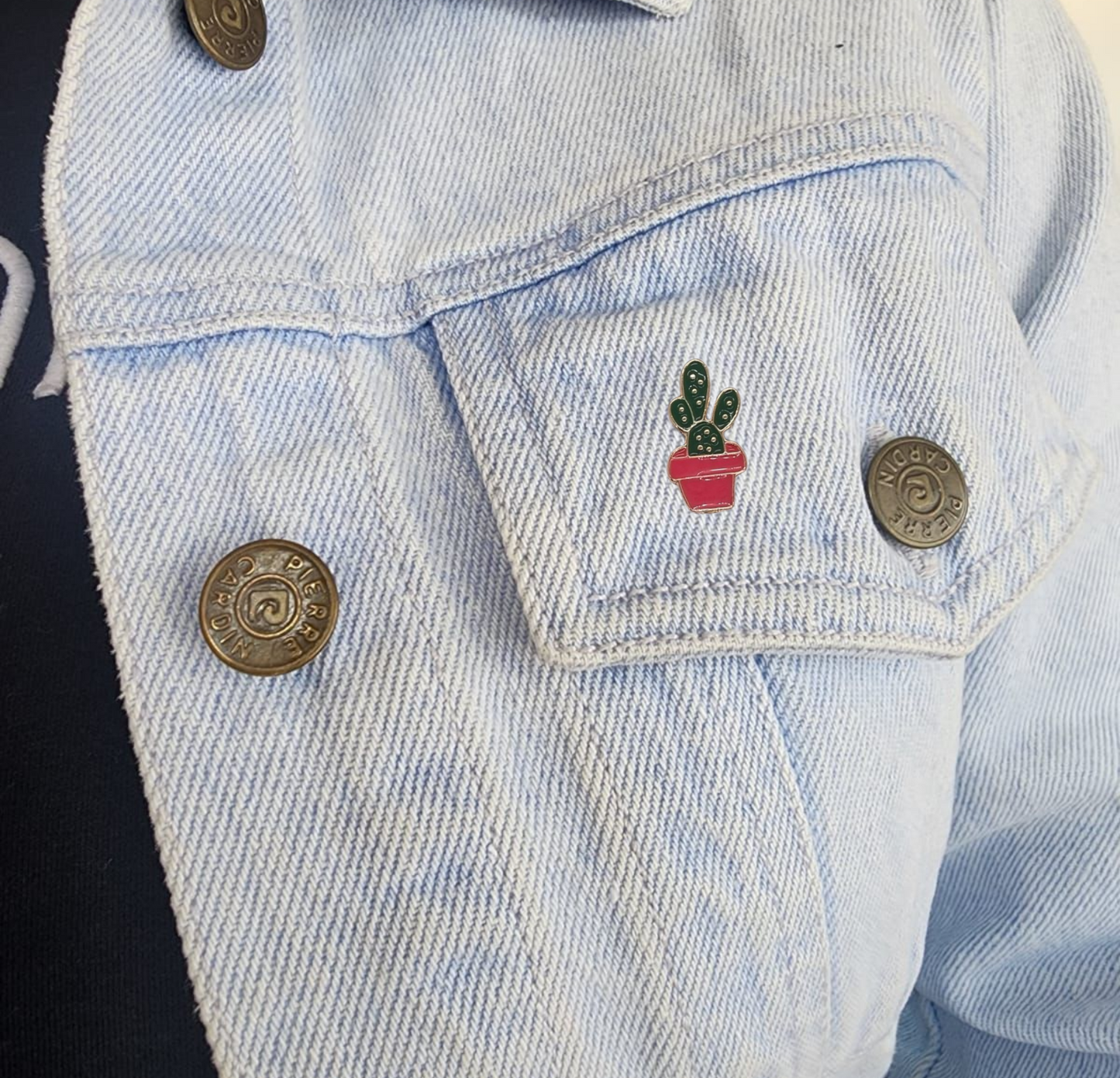 Pin cactus orejas de conejo maceta fucsia