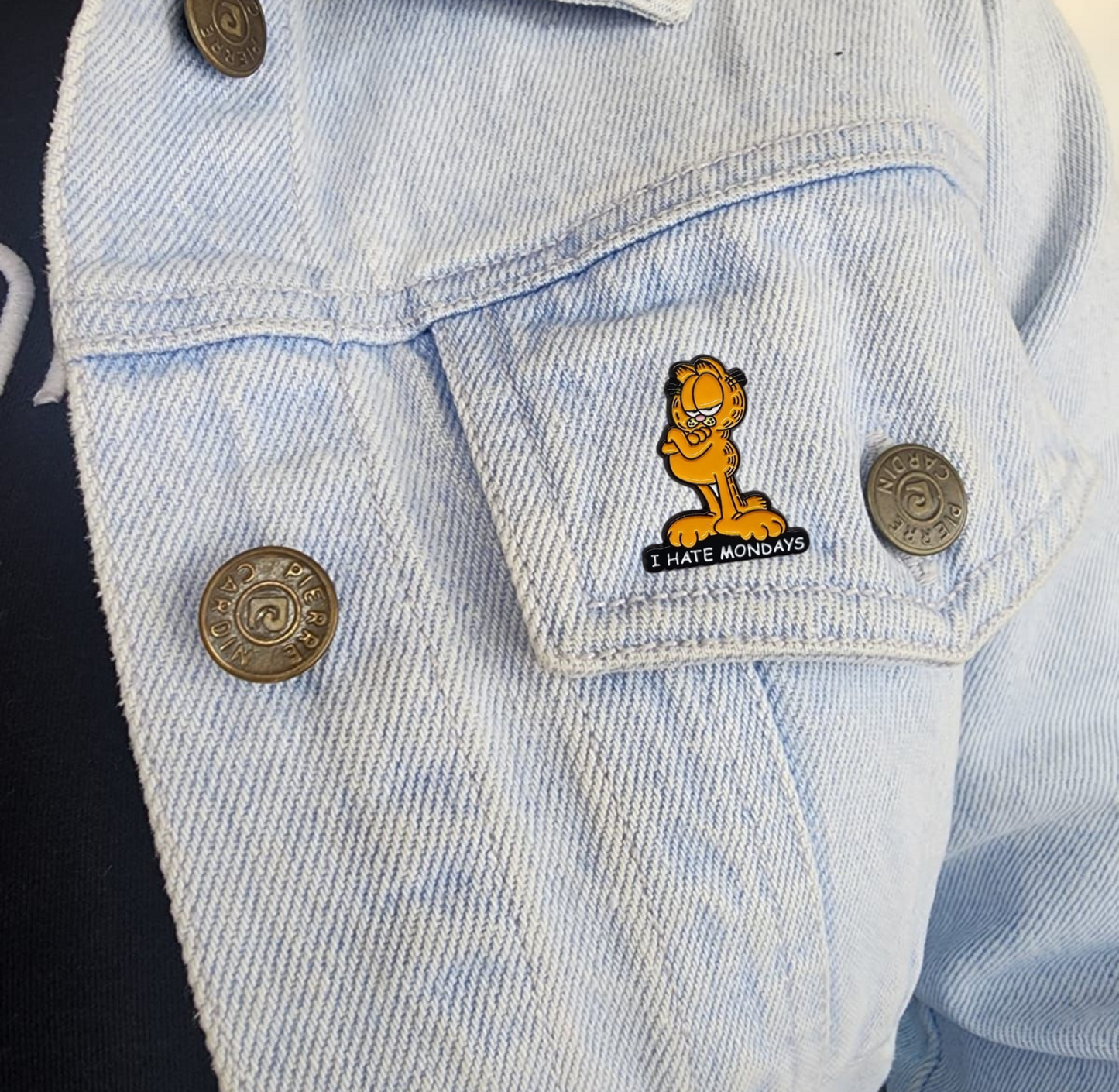 Pin Garfield i hate mondays