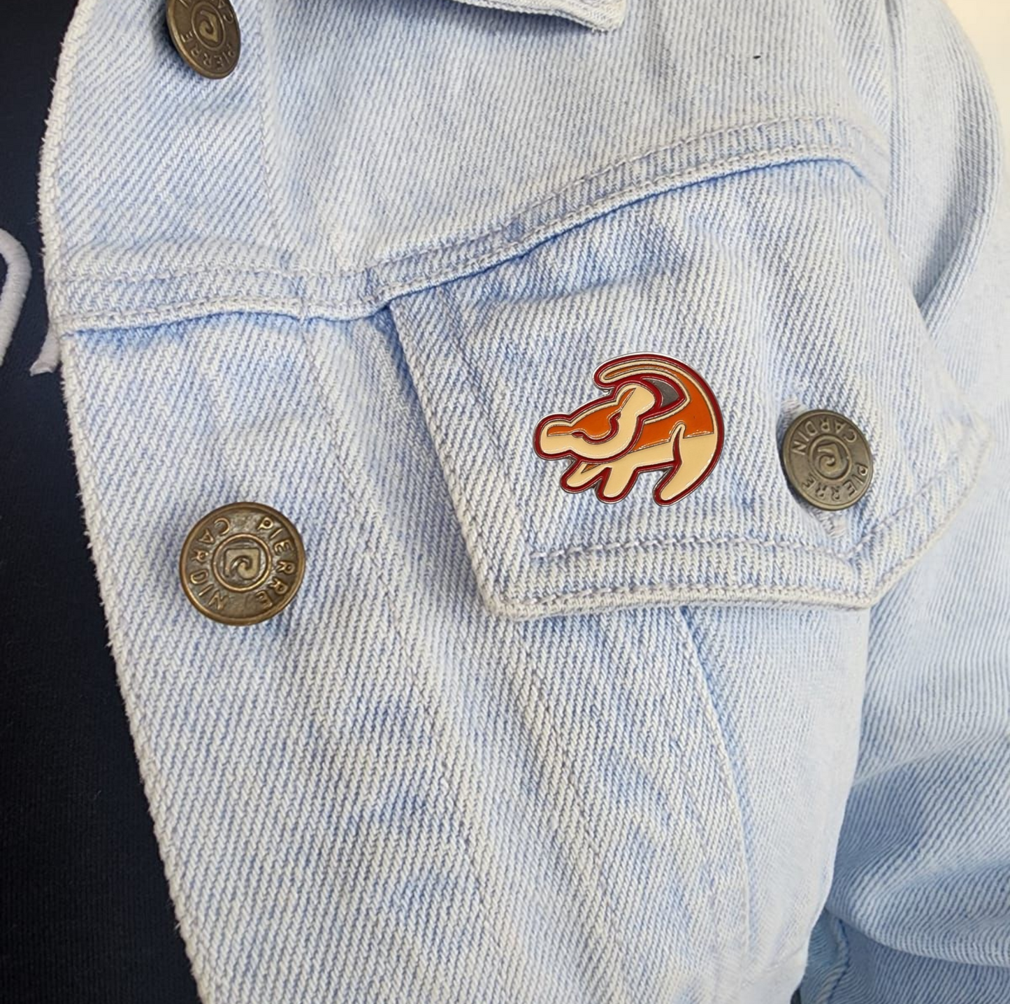 Pin simba