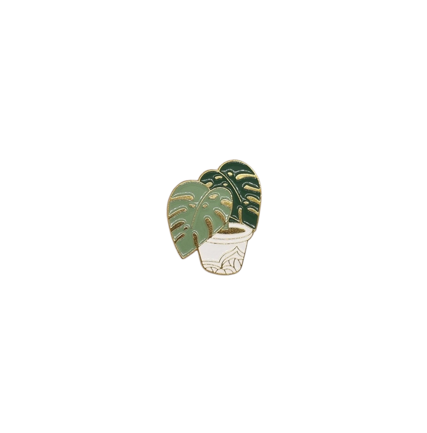 Pin monstera maceta blanca