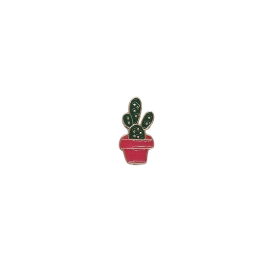 Pin cactus orejas de conejo maceta fucsia