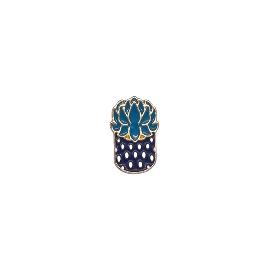 Pin suculenta azul